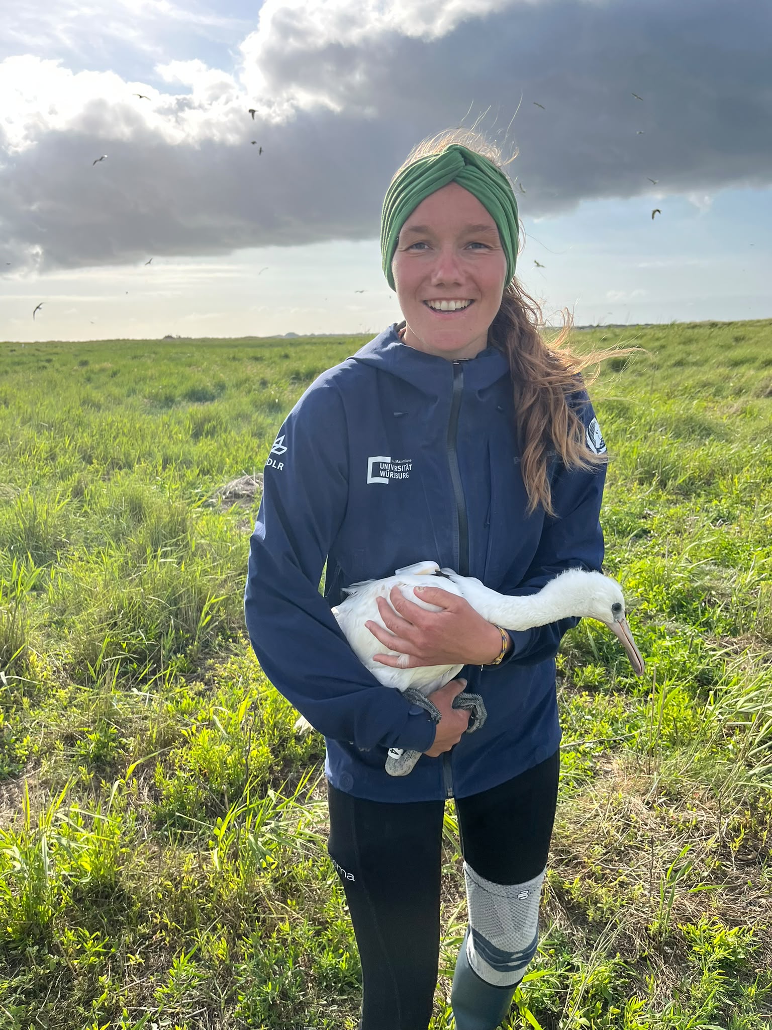 Photo 2: Happily holding a spoonbill chick with a new GPS-tracker. (Theunis Piersma)